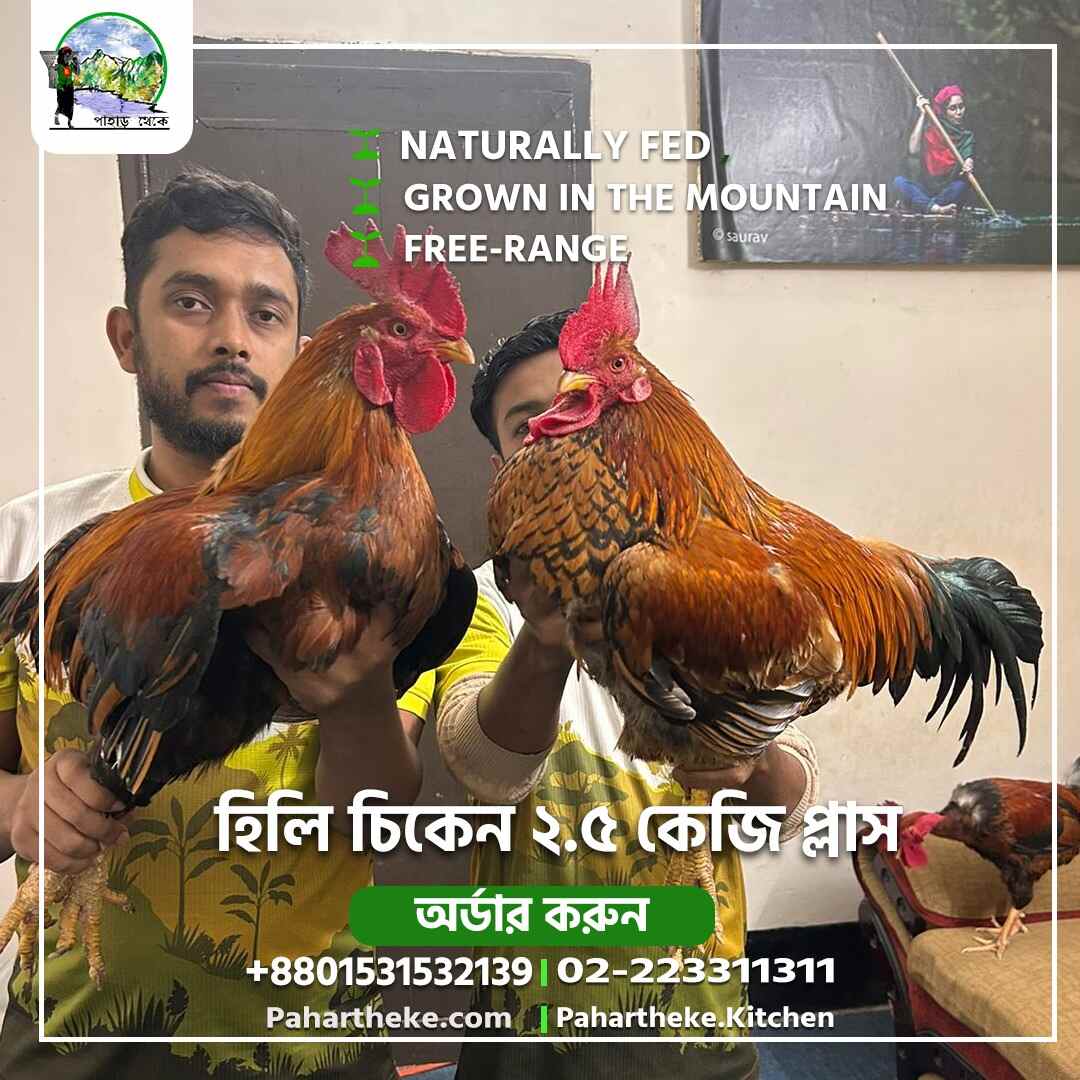 Hilly chicken ( Monstar ) 2.5 kg plus- per kg