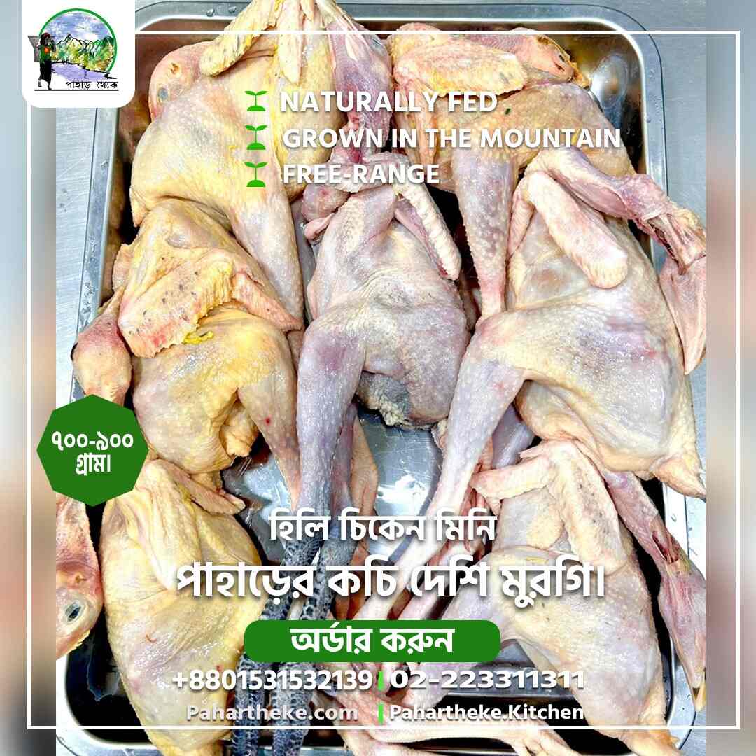 HIlly Chicken Mini- for baby and old- per kg