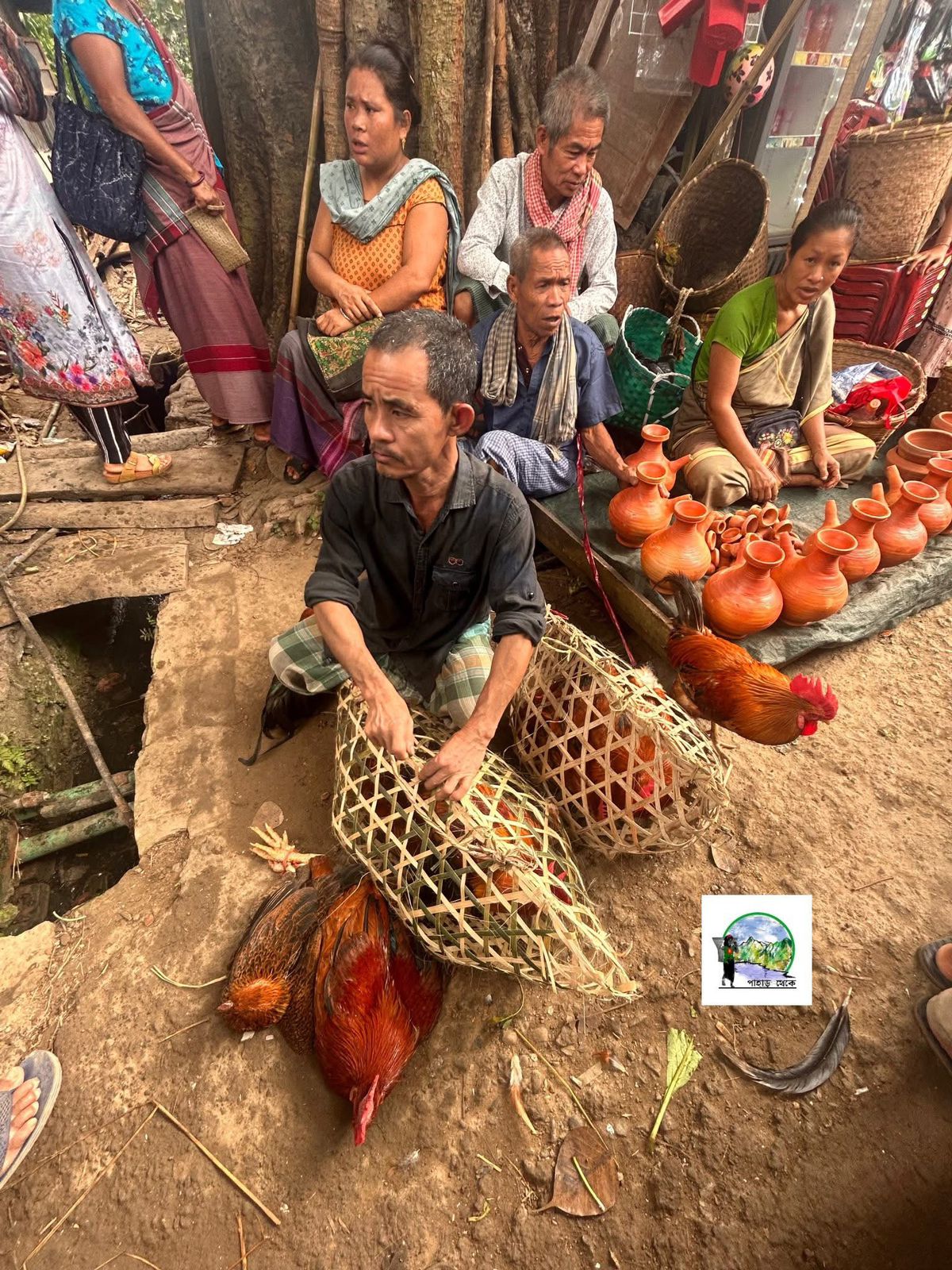 কেন অবশ্যই আপনার এবং পরিবারের খাওয়া উচিত পাহাড়ি ফ্রী রেঞ্জ দেশি মুরগি।